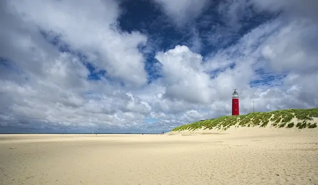 Texel