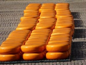 טיול גבינות לאלקמאר