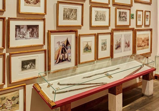 מוזיאון המריחואנה ההיסטוריה והתרבות של הקנאביס