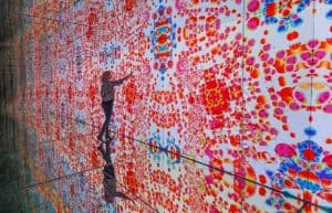 מוזיאון מוקו מציג אוסף מדהים של אמנים בינלאומיים ידועים