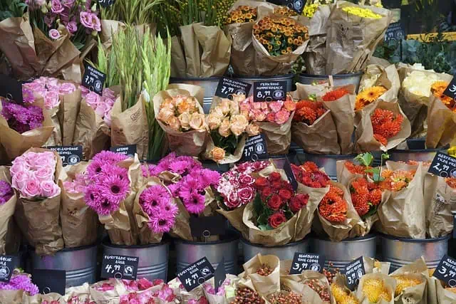 שוק הפרחים הצף של אמסטרדם הוא אחד המקומות הקסומים בעיר