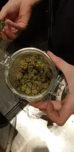 Amsterdam coffee shops tour