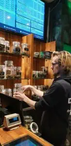 Amsterdam coffee shops tour