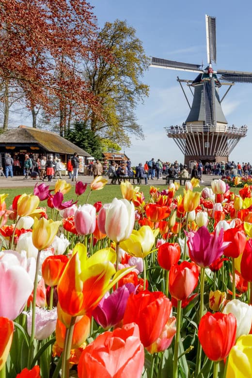 From Amsterdam: Keukenhof and Dutch Countryside Tour