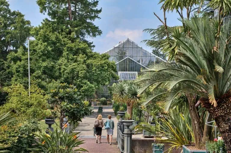 הגן הבוטני בליידן (Hortus botanicus Leiden)