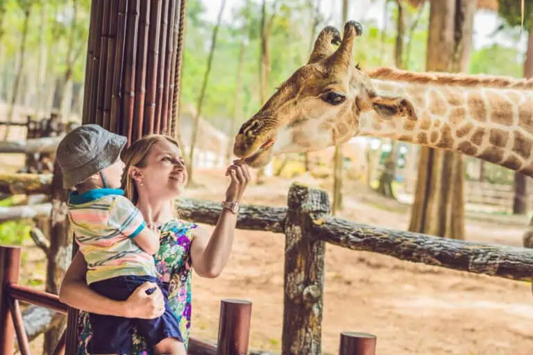 Safaripark Beekse Bergen