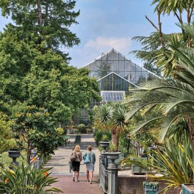 הגן הבוטני בליידן (Hortus botanicus Leiden)