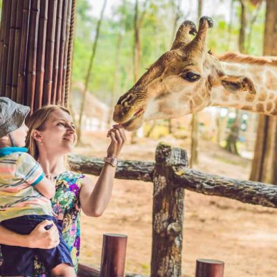 Safaripark Beekse Bergen