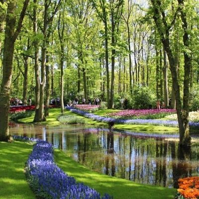 Keukenhof